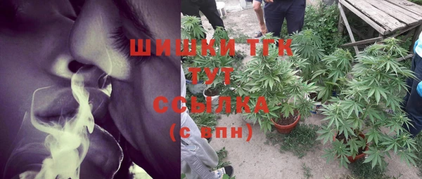 эйфоретик Верхний Тагил