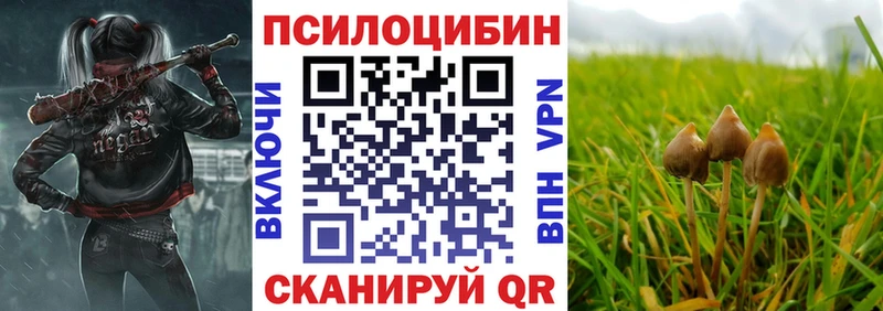 Галлюциногенные грибы ЛСД  Купить где  Сунжа 