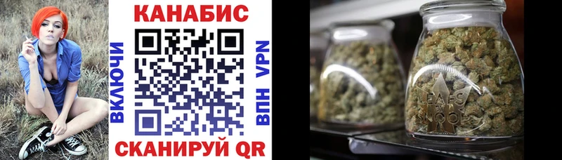 Купить  Сунжа  Каннабис конопля 